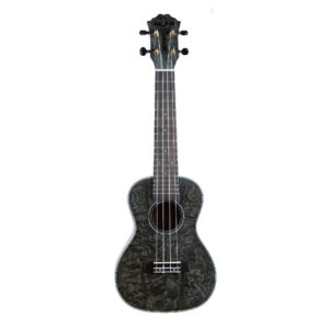 FZone FZU-022C BK Ash