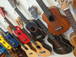 Poradíme vám s výběrem ukulele