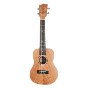 Tanglewood TWT 6